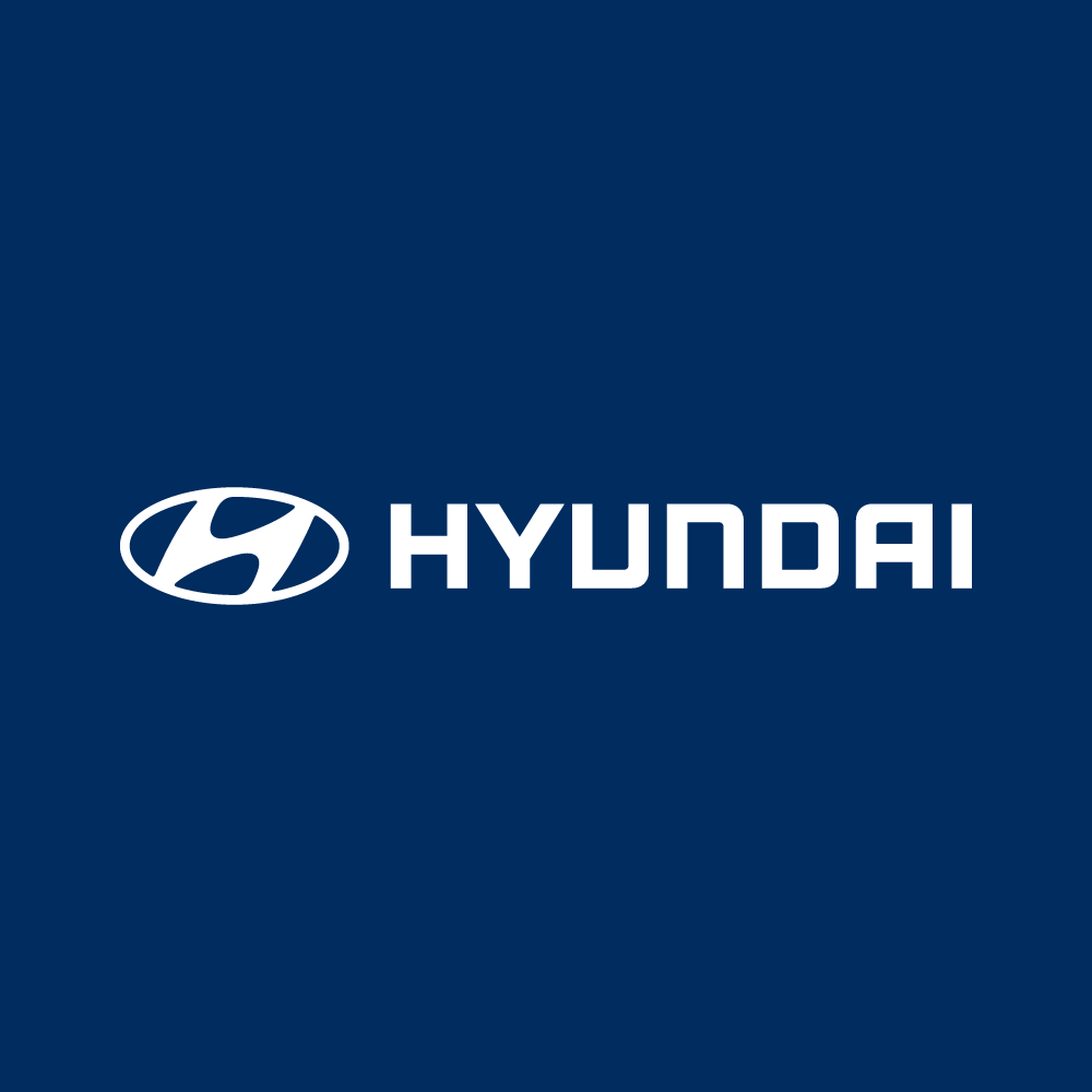Autonal Banner Hyundai (1)
